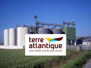 Terre Atlantique Logo Partenaire